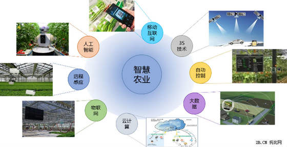 農業B2B電商發展現狀