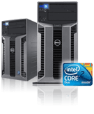 ����(w��)������