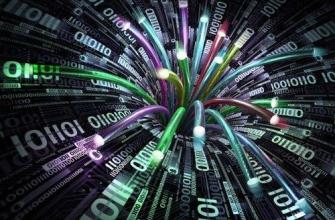 ����(w��)������