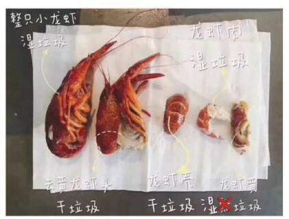 垃圾桶賣斷貨被限購(gòu) 萬(wàn)萬(wàn)沒(méi)想到垃圾桶也有賣斷貨的時(shí)候