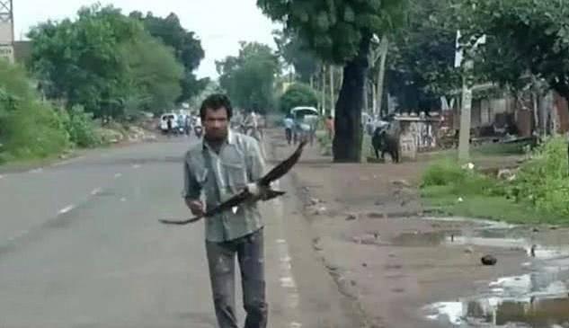 男子遭烏鴉追3年  當地人看他被攻擊當做日常娛樂