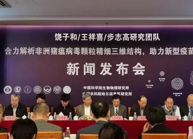 中國解析豬瘟病毒 對國家經濟安全意義重大